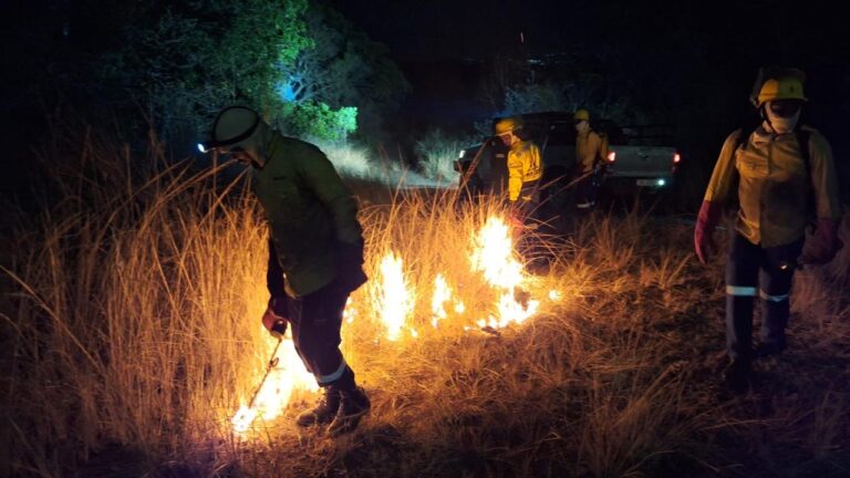 Dube TradePort : Controlled Burning and Firebreaks